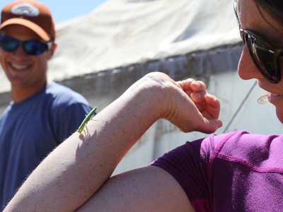 Visitors to Eggert Family Organic Farm at WSU encounter a preying mantis. The annual field day returns July 28 (Seth Truscott/WSU Photo).