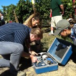 Certificate students use a pressure chamber instrument during the Fall 2016 Grape Camp