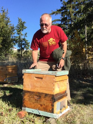 Entomologist Steve Sheppard checks colony health in the WSU Teaching Apiary.