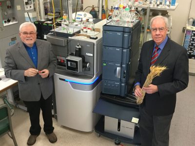 At the USDA Wheat Health, Genetics and Quality Research Unit at Washington State University, senior scientist Robert Bonsall and research leader David Weller use the new Synapt G2-Si HD mass spectrometer to understand the intricate web of chemical signals that drive the health and development of wheat (Seth Truscott/WSU Photos).