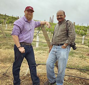 Andrew Schultz and Naidu Rayapati partner to keep Schultz’ Wapato vineyards healthy (WSU photo).