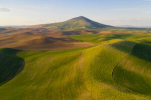 Green rolling hills of Steptoe Butte.