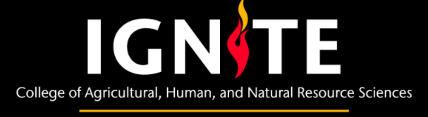 Text: Ignite, Undergraduate Research Program