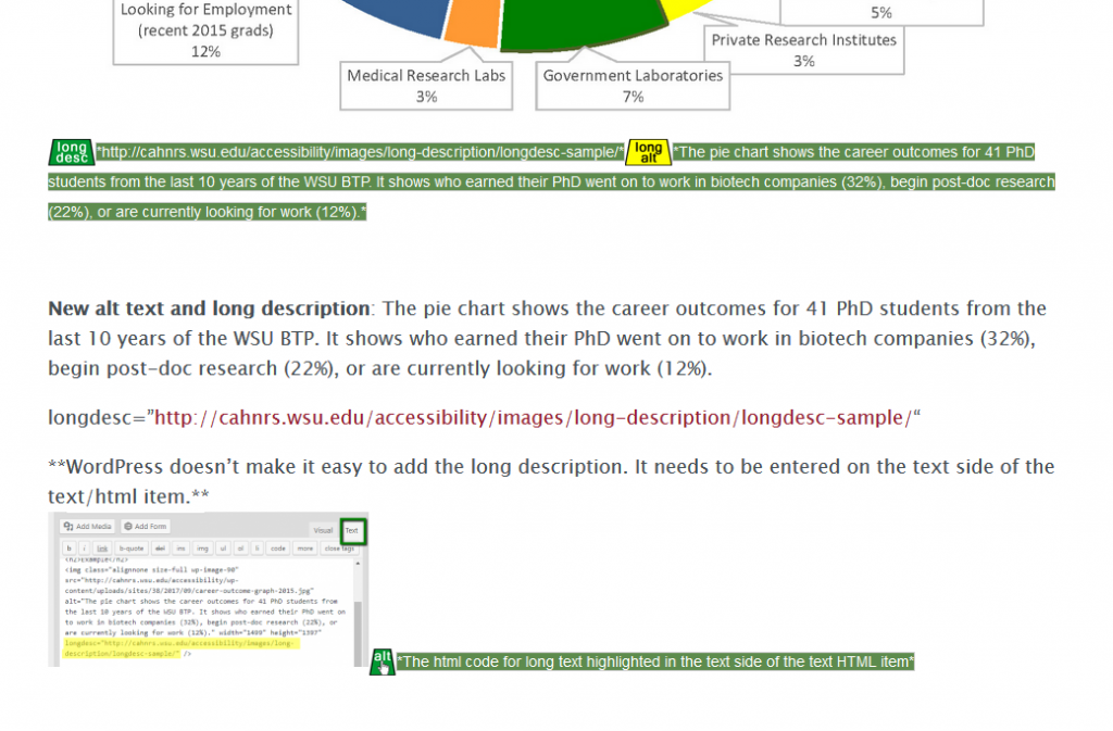 A screen capture of the webpage using WebAIM Wave Evaluation Tool with the alternative text and longdesc marked.