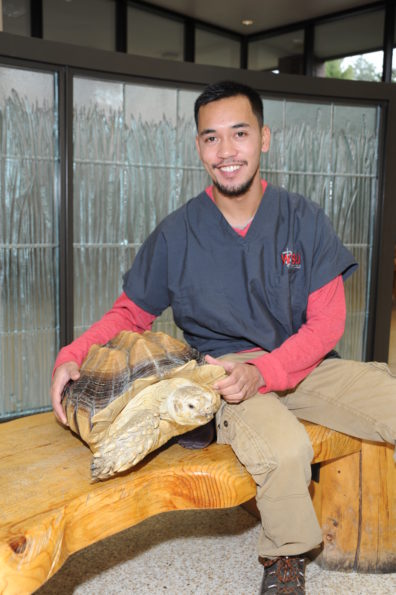 Veterinary student Rian Calugcugan with a tortoise