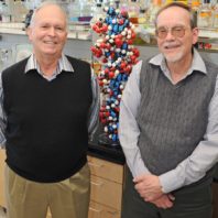 Standing in a laboratory with a DNA model behind them