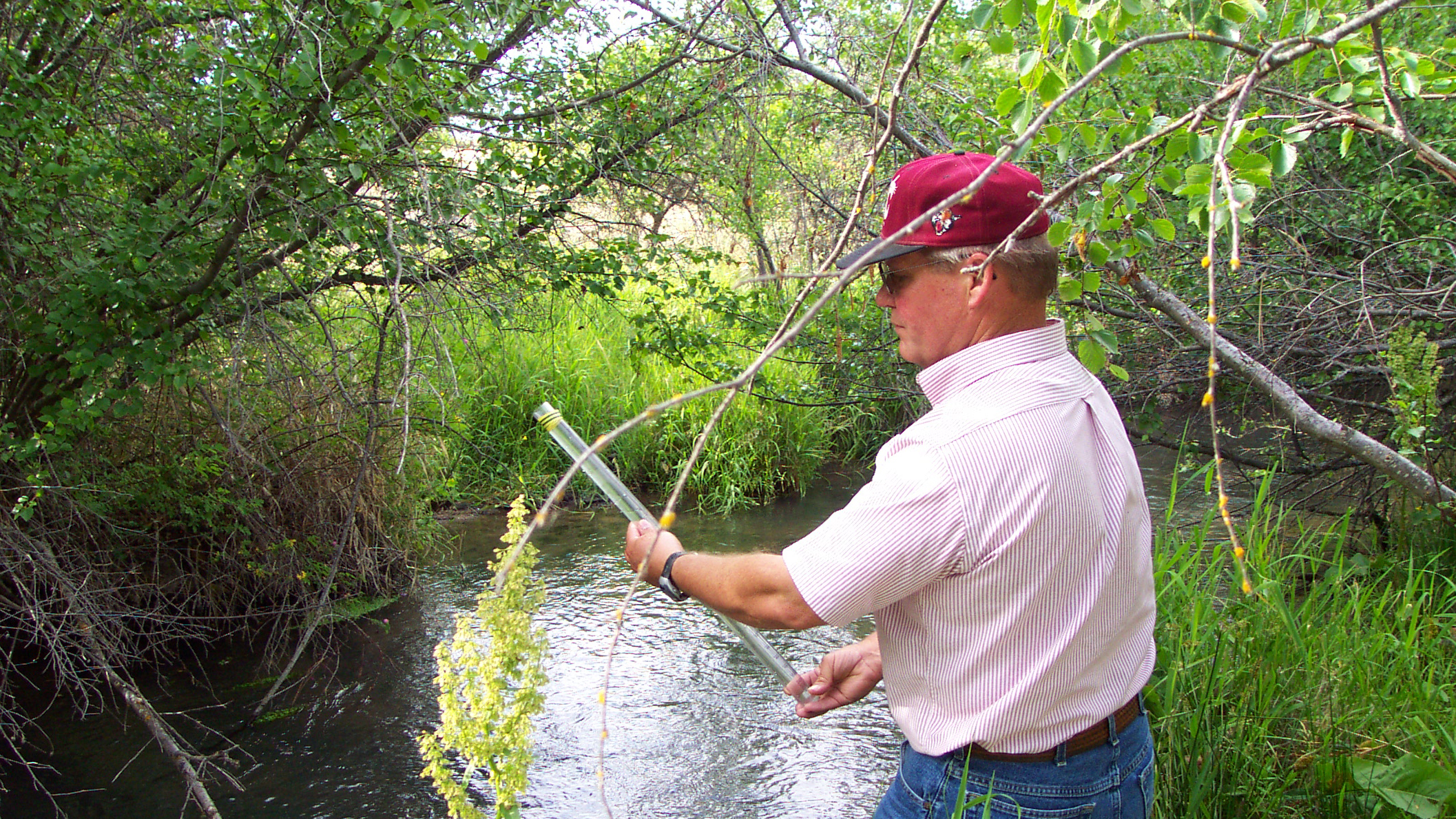 Water Quality Animal Agriculture Washington State University