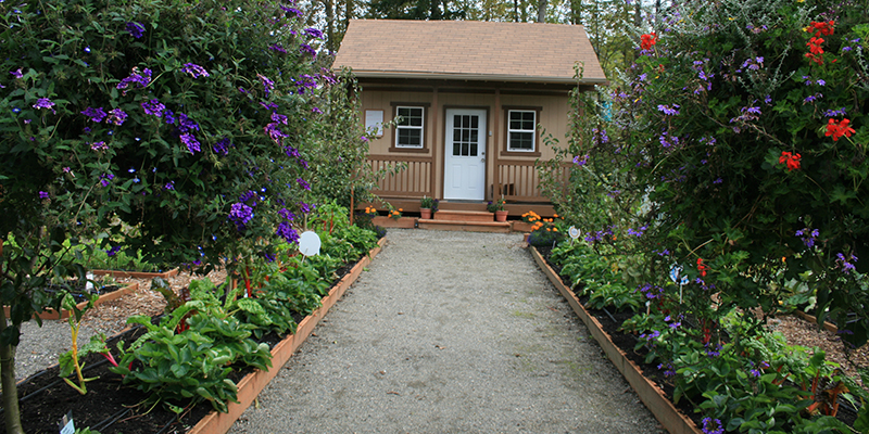 gravel path raised be garden with shed in center