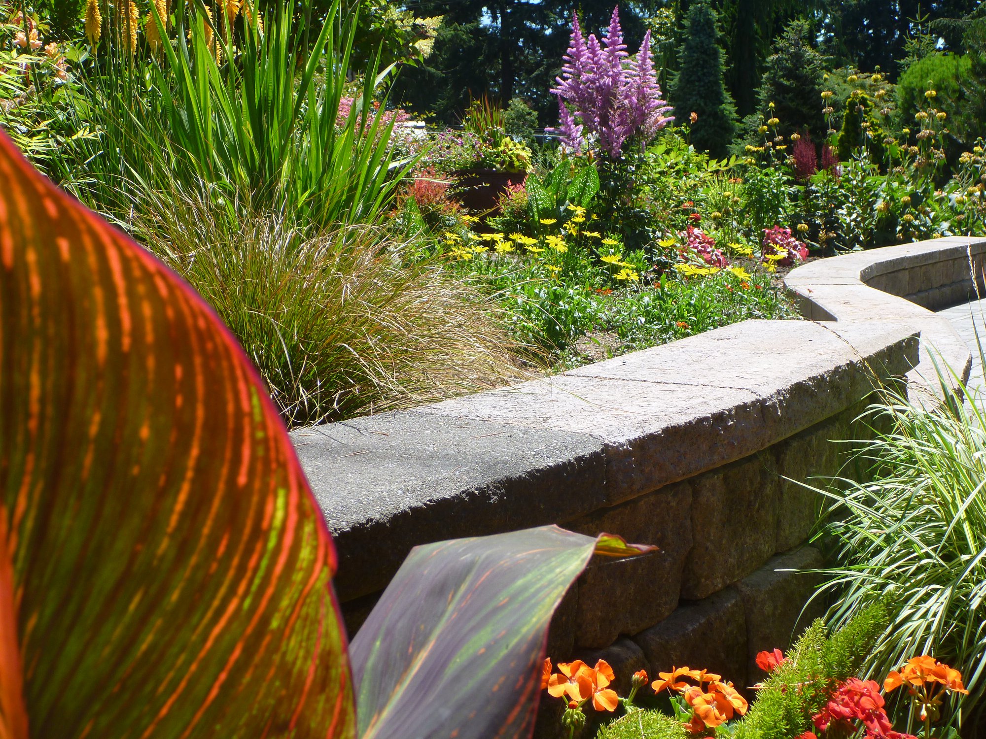 MG Demonstration Gardens Snohomish County Washington State University