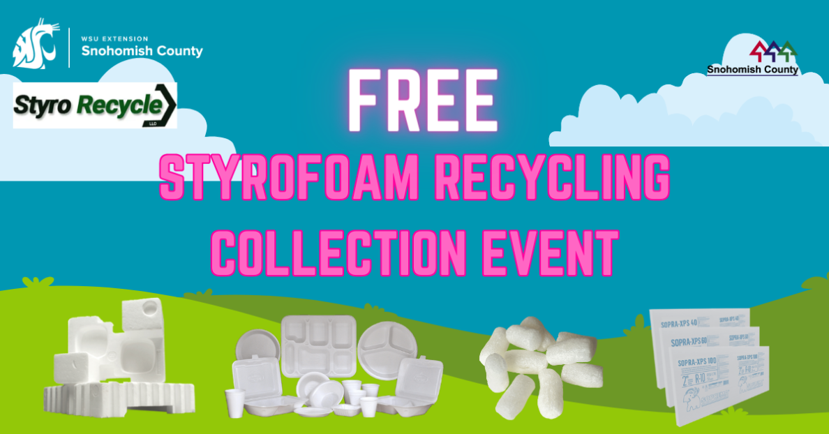 Free Styrofoam Recycling Event Snohomish County Washington State