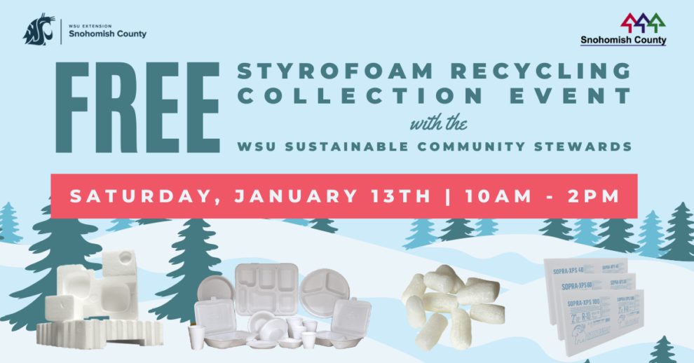 Free Styrofoam Recycling Collection Snohomish County Washington