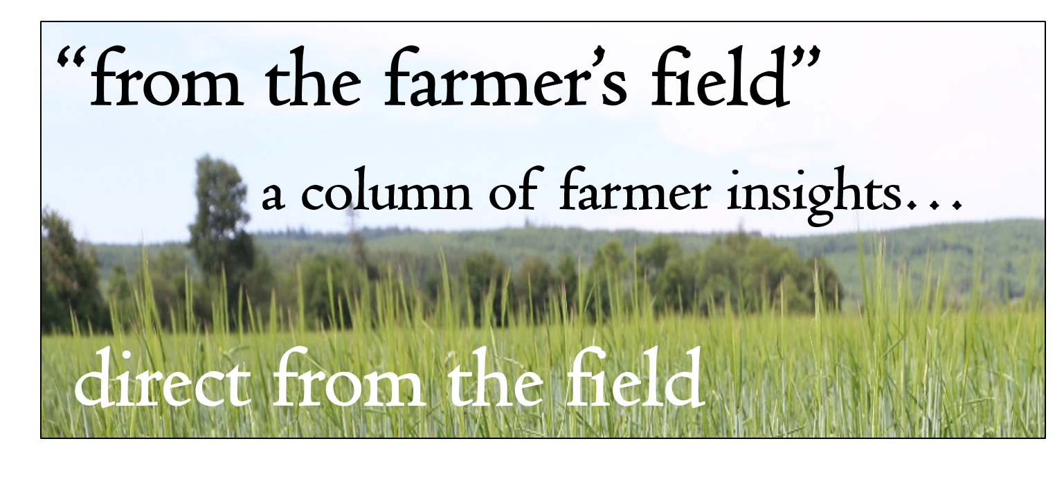 From the Farmer’s Field Thurston County Washington State University
