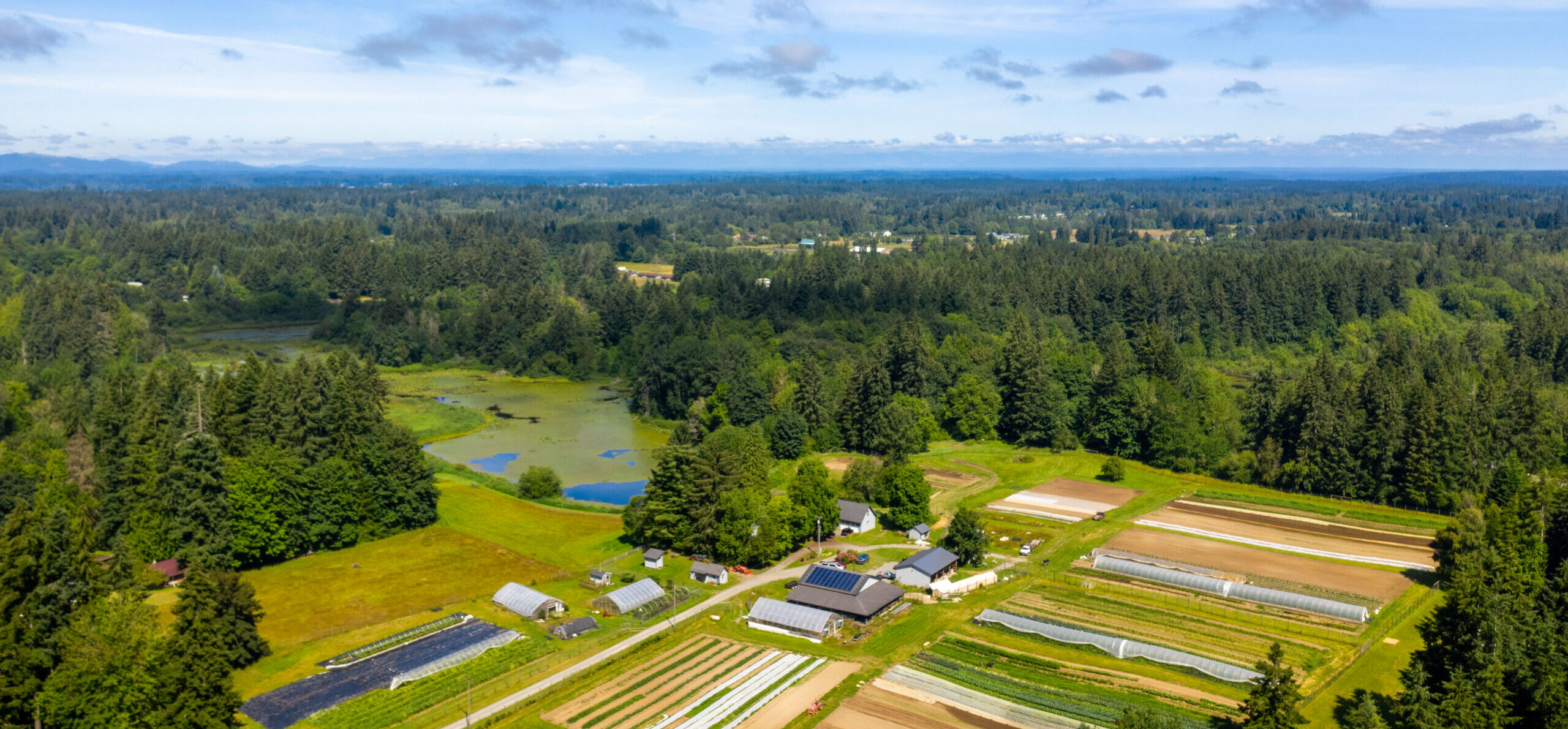 Agriculture in Thurston County Thurston County Washington State