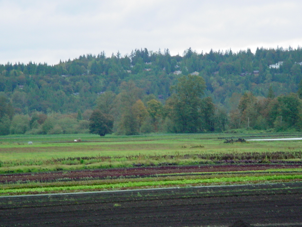 HC05 FCF RowCrops King County Washington State University