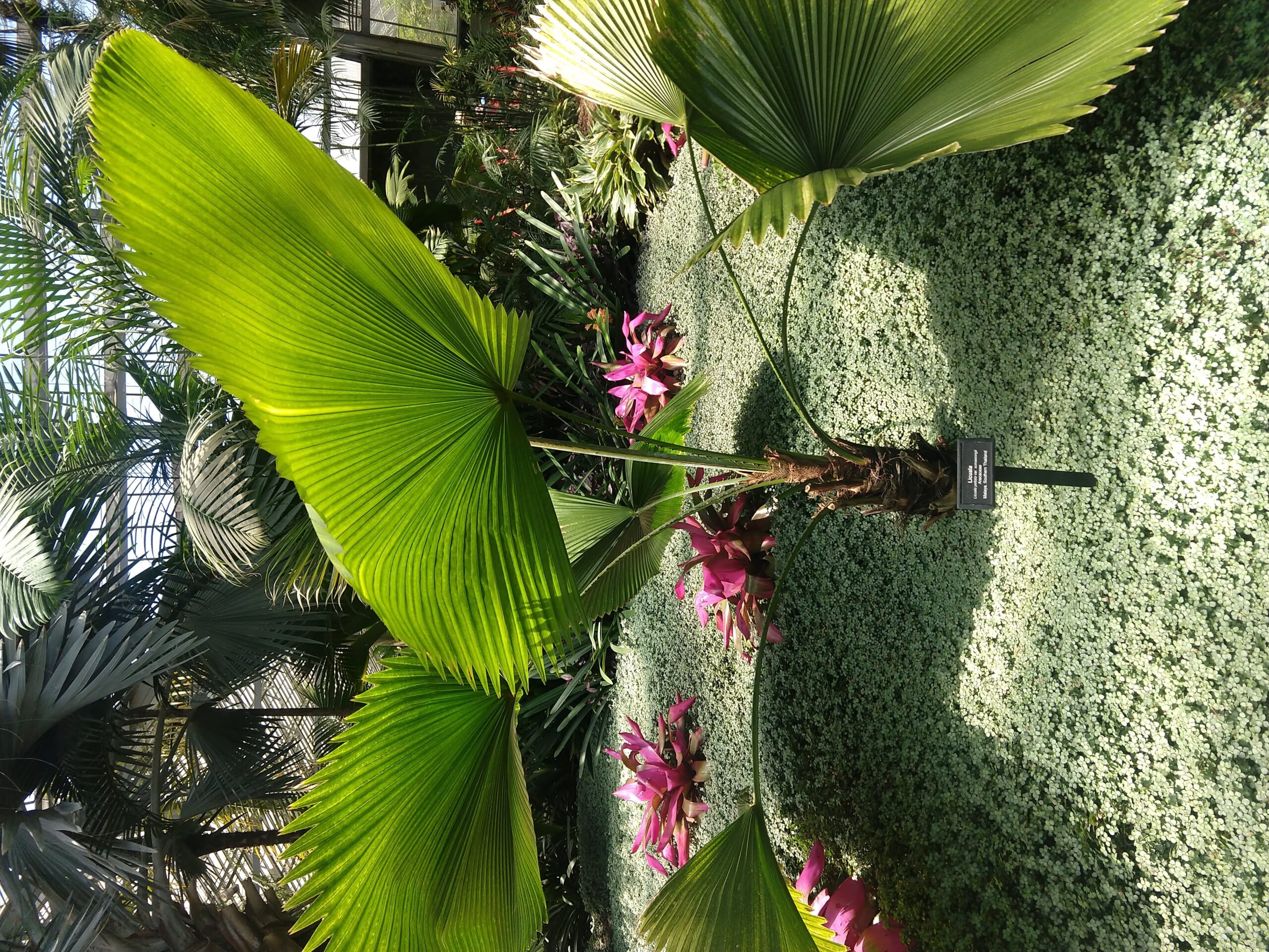 Clinic Resources for WSU KCMG Clinic Leaders King County Washington