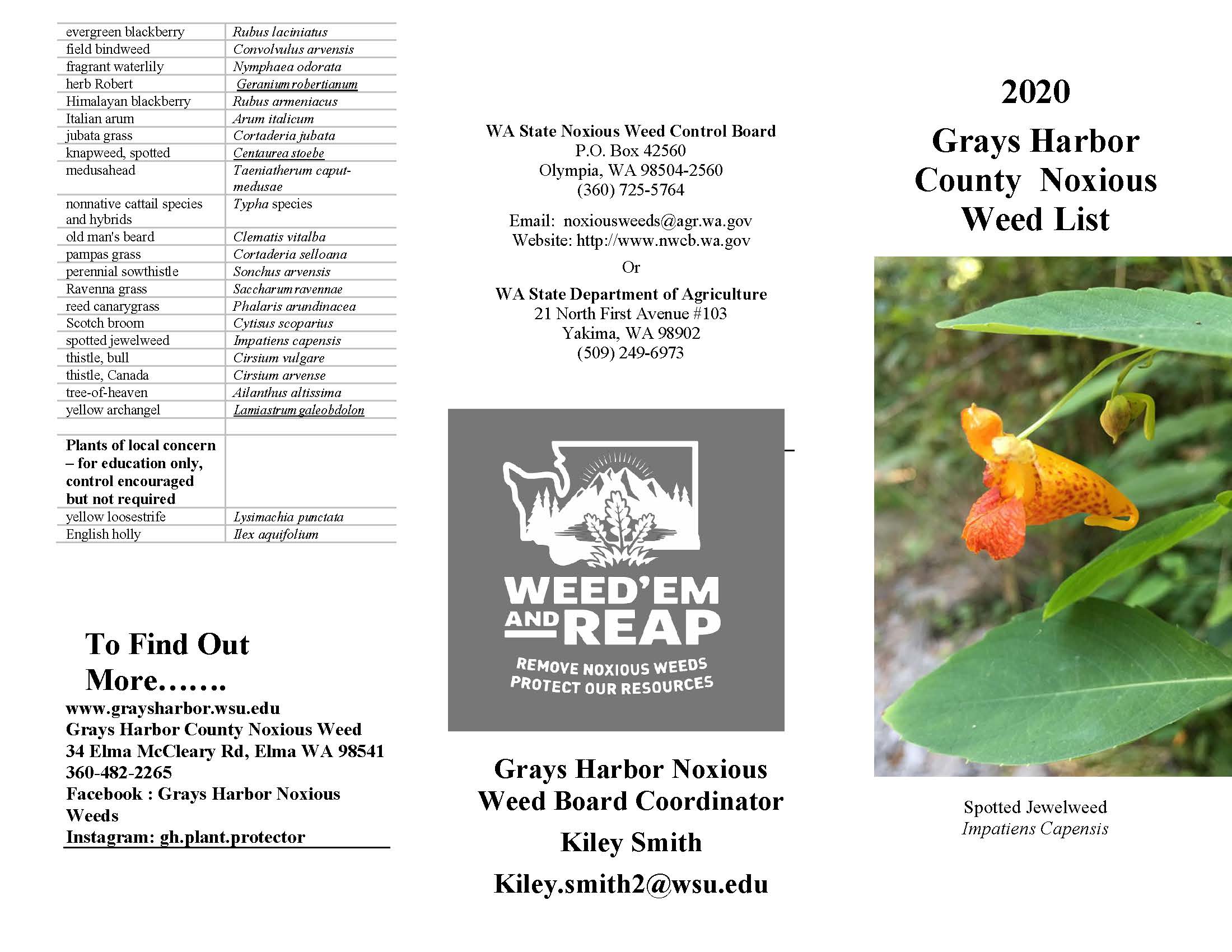 Noxious Weed Control Board Grays Harbor County Washington State