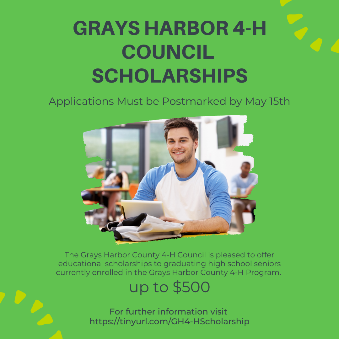 Washington state graduate scholarships image