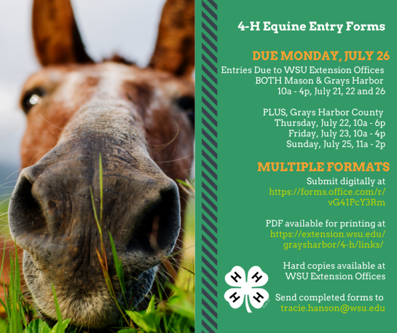 4H Equine Entry Info Grays Harbor County Washington State University