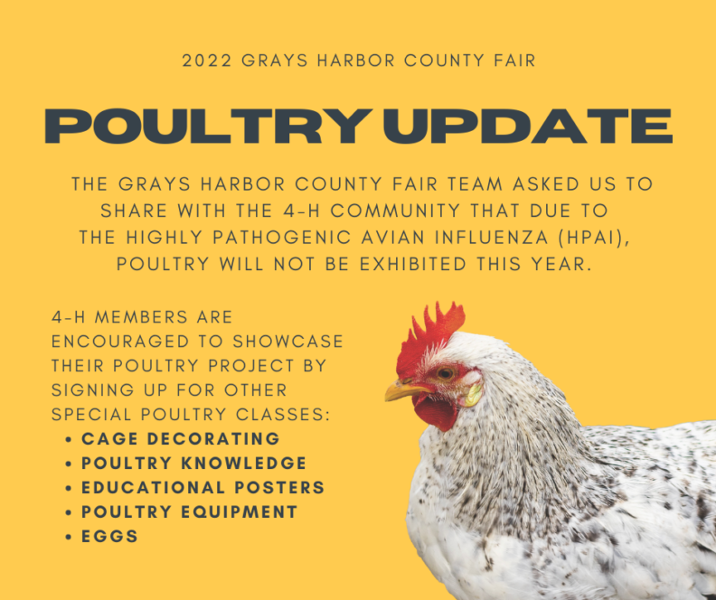 GHC Fair Poultry Update Grays Harbor County Washington State University