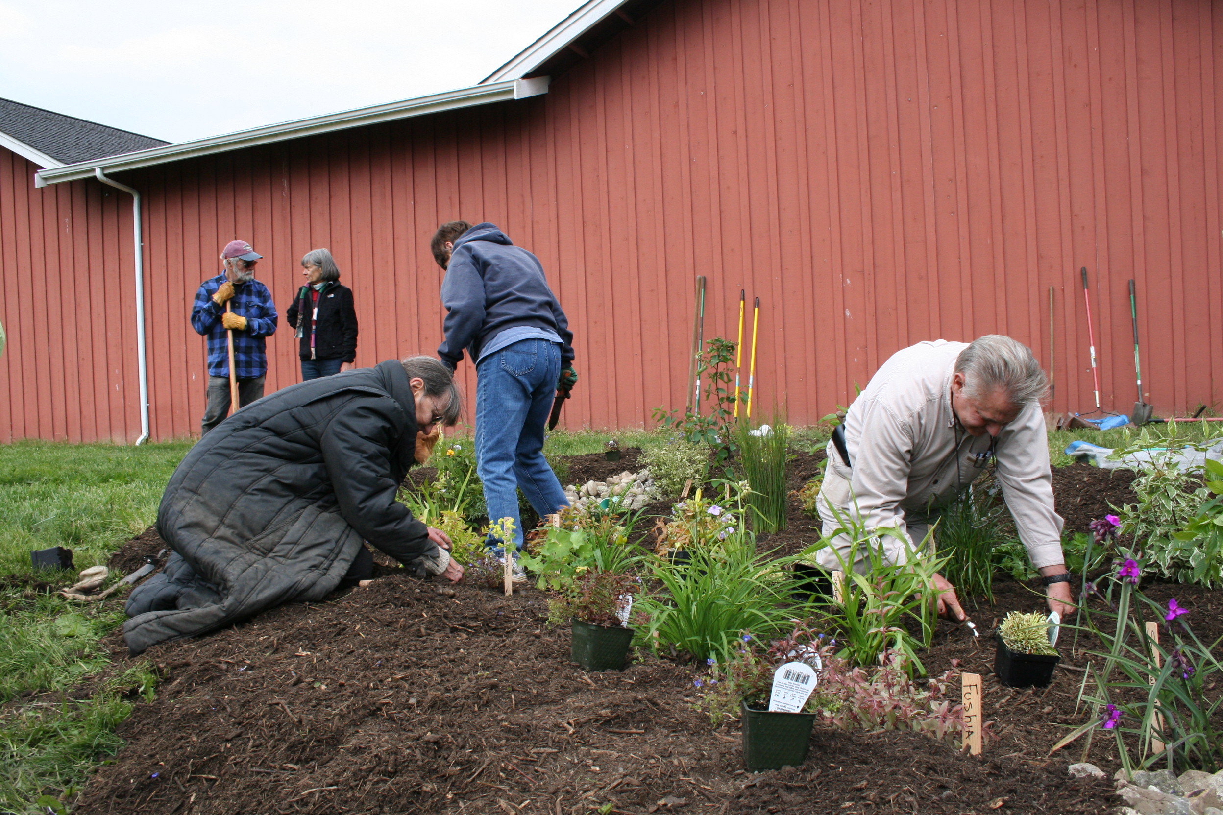 Gardening in Island County WSU Extension, Island County Washington