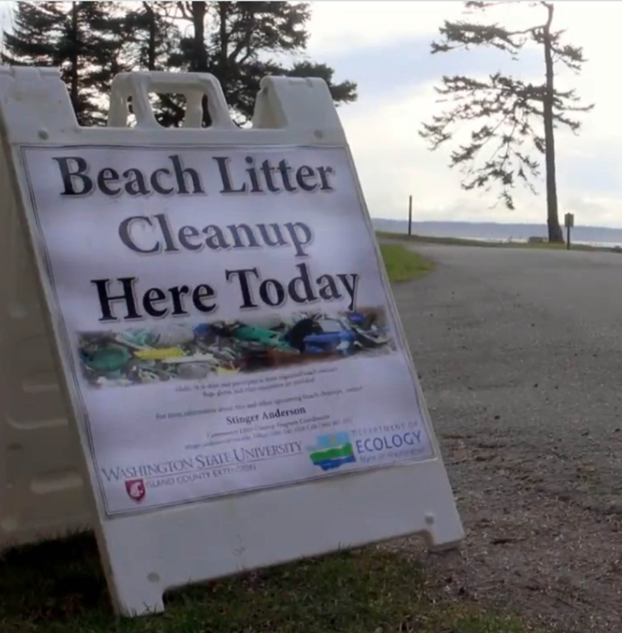 Community Beach Litter Pickup Volunteer Opportunities WSU Extension