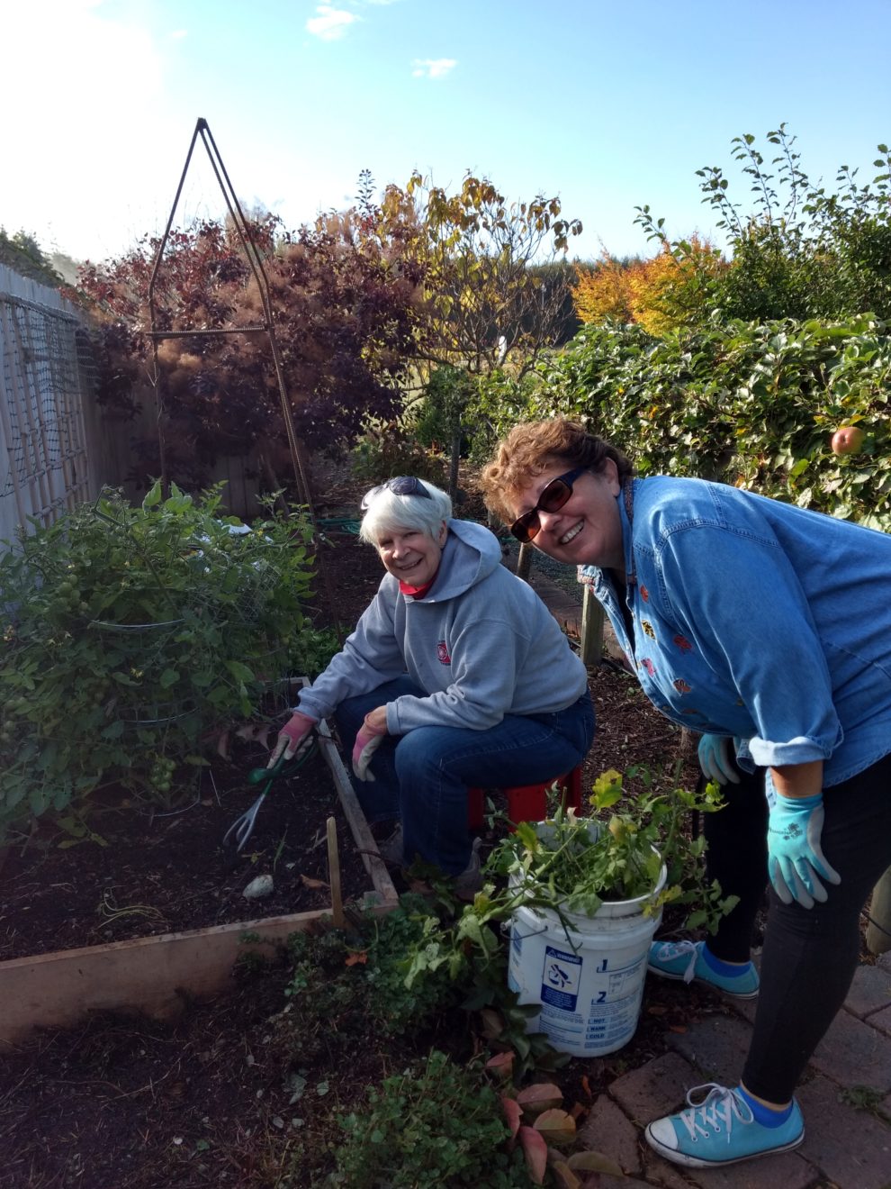 Master Gardeners WSU Extension, Island County Washington State