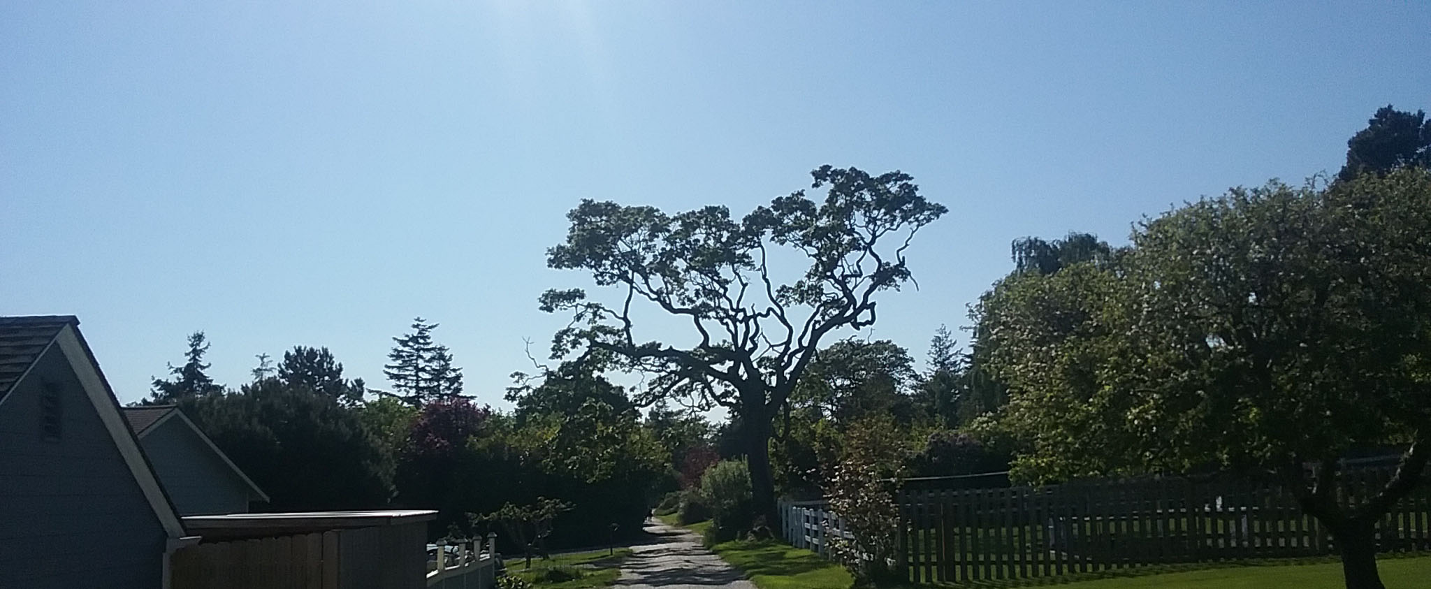 WSU Extension, Island County Washington State University