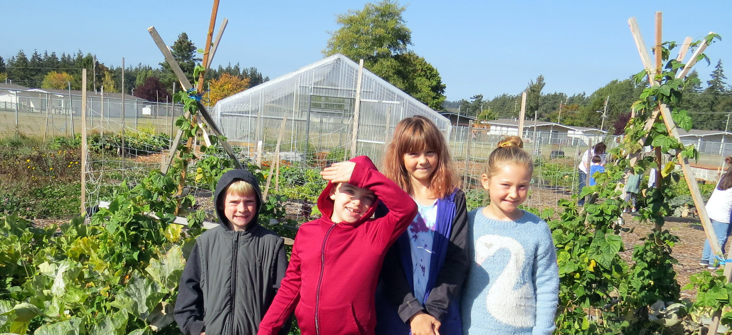 SNAPEd WSU Extension, Island County Washington State University