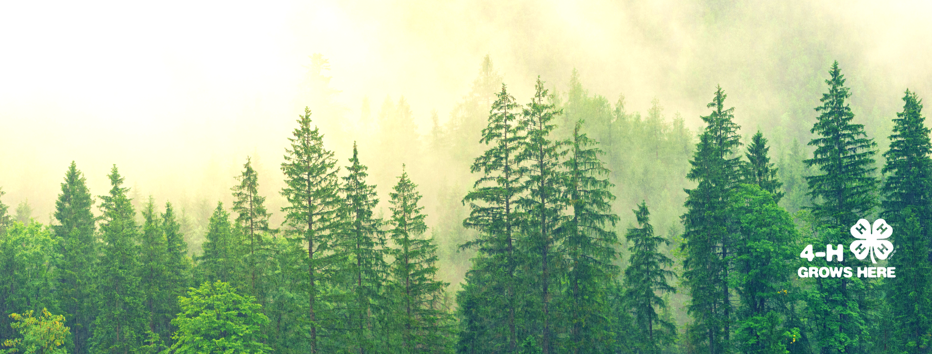 2024 Pend Oreille County Fair Pend Oreille County Washington State