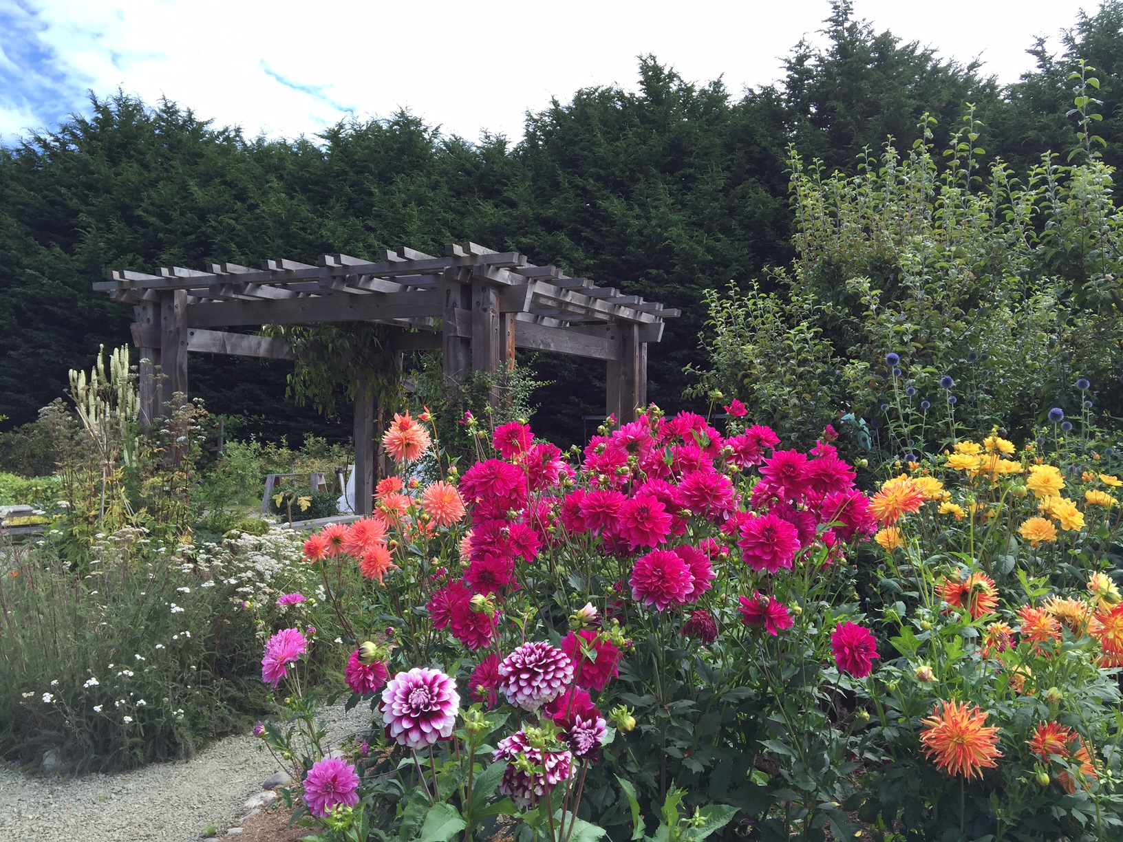 Demonstration Gardens Clallam County Washington State University