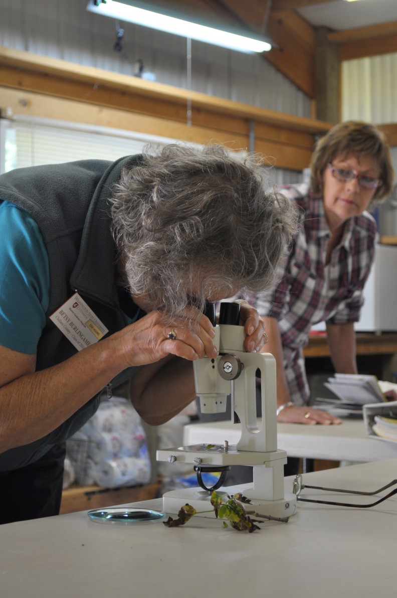 Plant Diagnostic Clinics | Clallam County | Washington State University