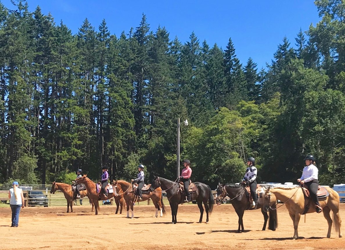 4H Horse Projects Clallam County Washington State University
