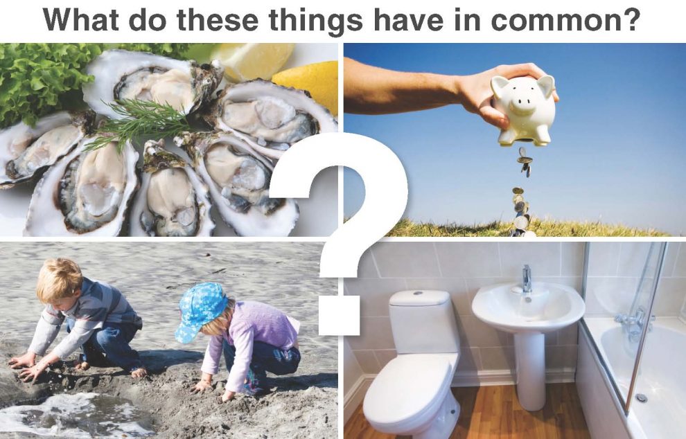 Septic Sense Kitsap County Washington State University