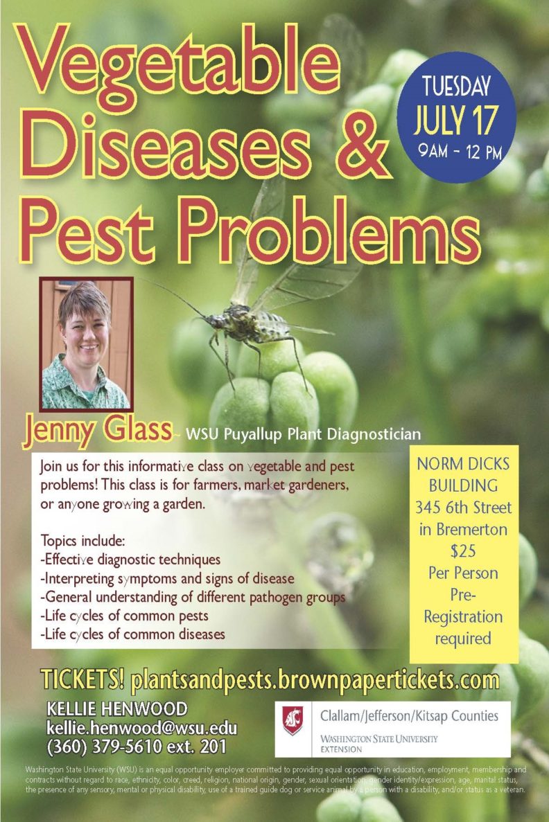 Vegetable Disease & Pest Problems Kitsap County Washington State