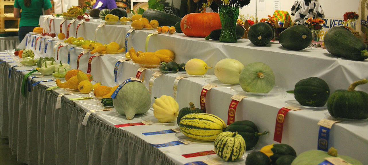 Sustainable Vegetable Gardening 2020 Kitsap County Washington State