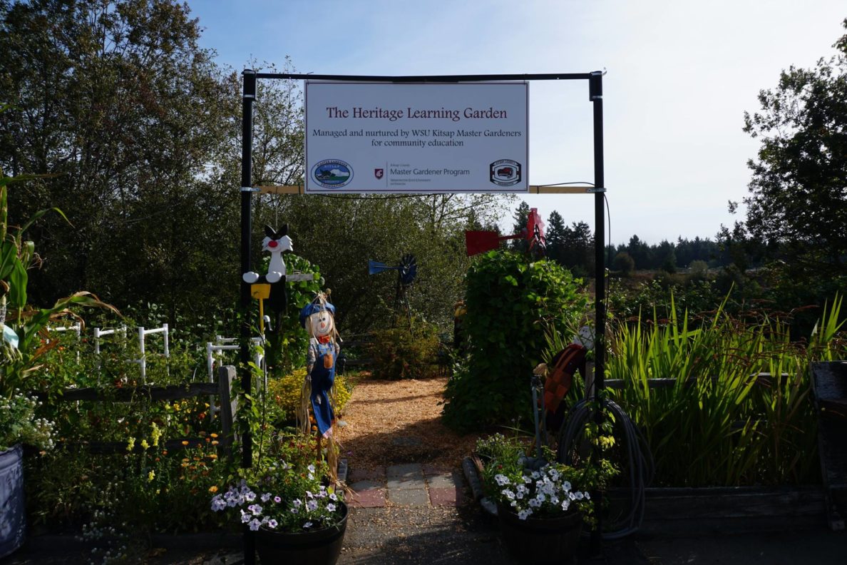 Heritage Garden Kitsap County Washington State University