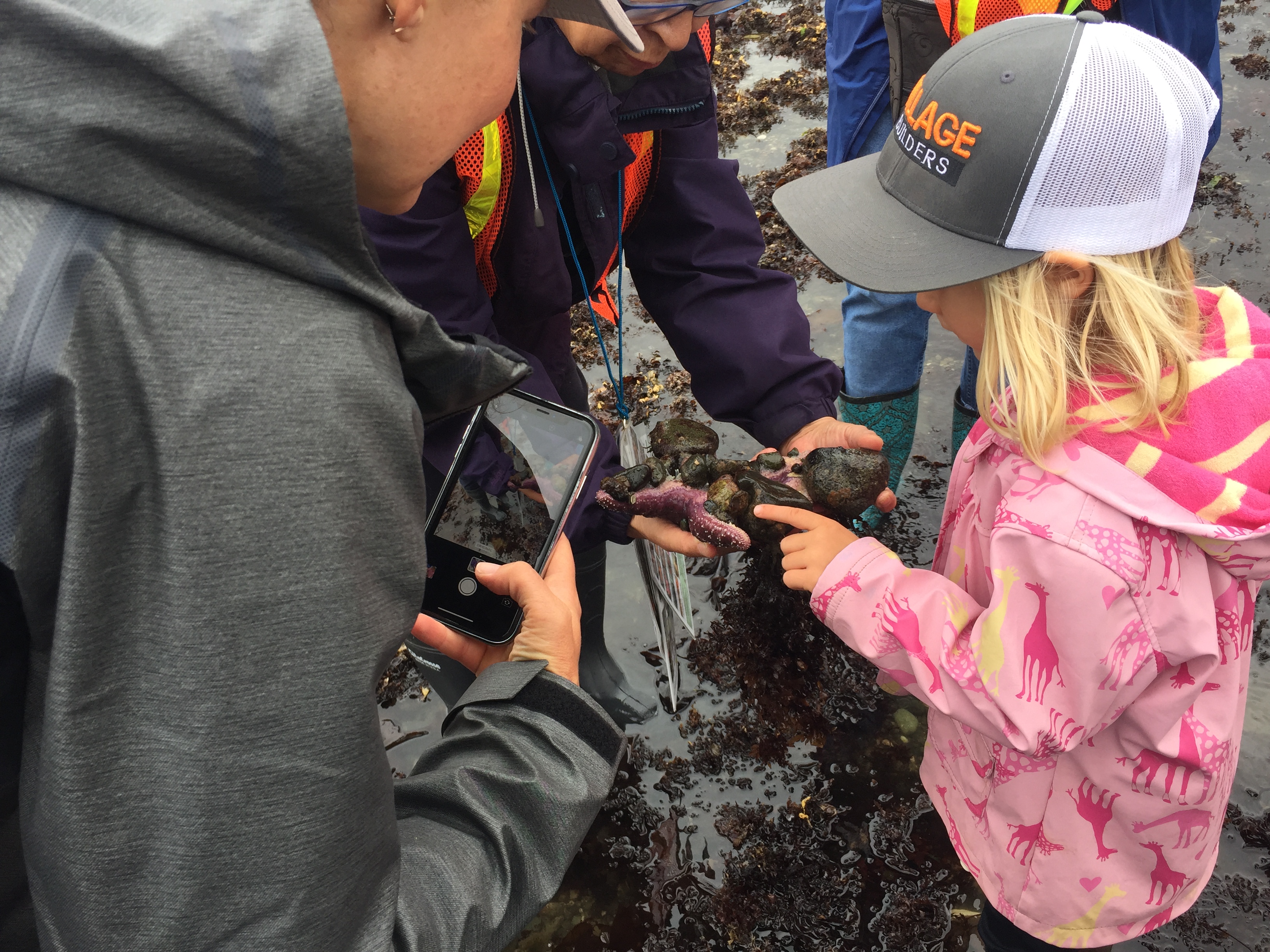 Kitsap Water Stewardship Programs Kitsap County Washington State