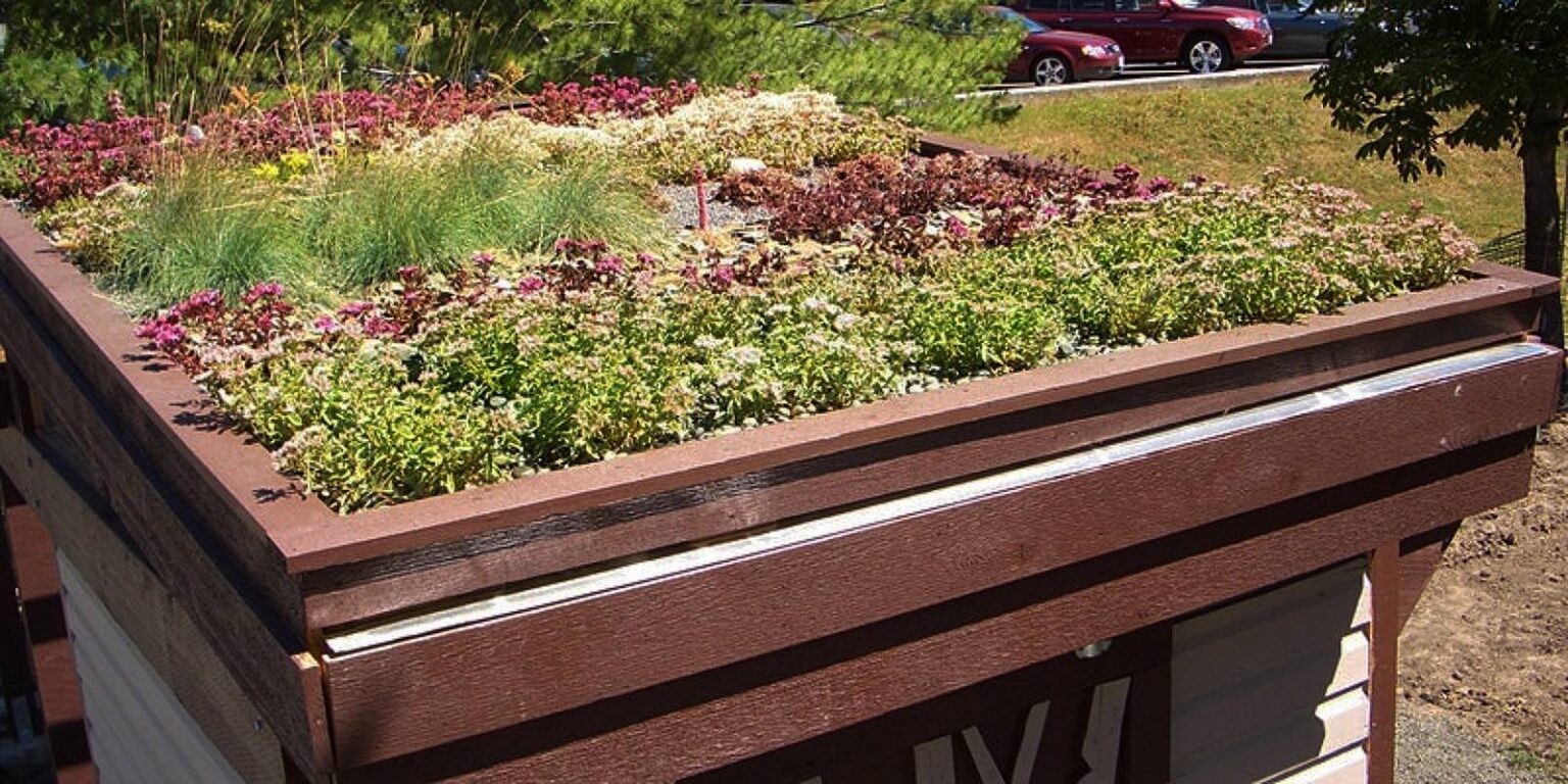 Green Roofs for the Pacific Northwest Kitsap County Washington