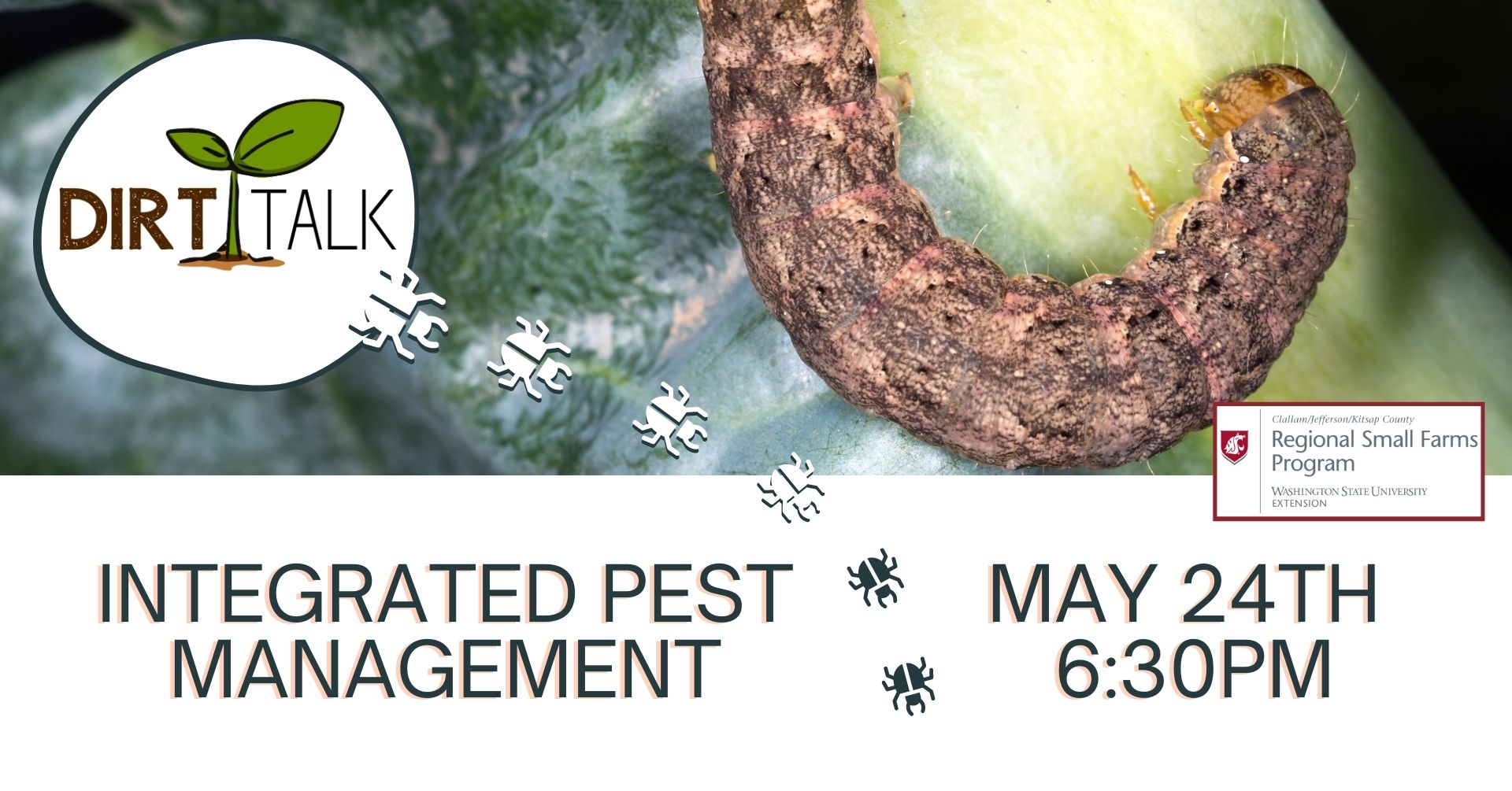 Dirt Talk Integrated Pest Management Kitsap County Washington State