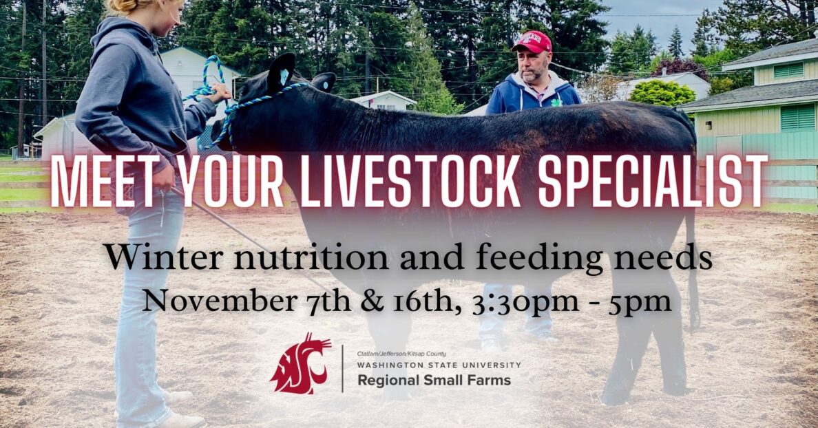 Meet Your Livestock Specialist Winter Nutrition and Feeding Needs