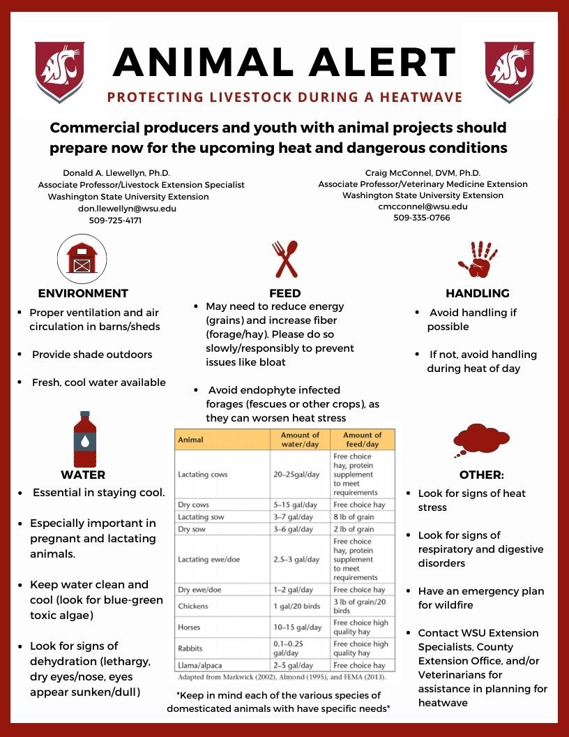 Animal Alert Heat wave on its way may cause problems for livestock