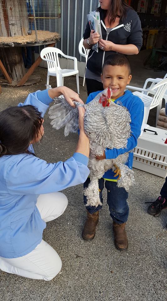 Pacific County Fair Pacific County Washington State University