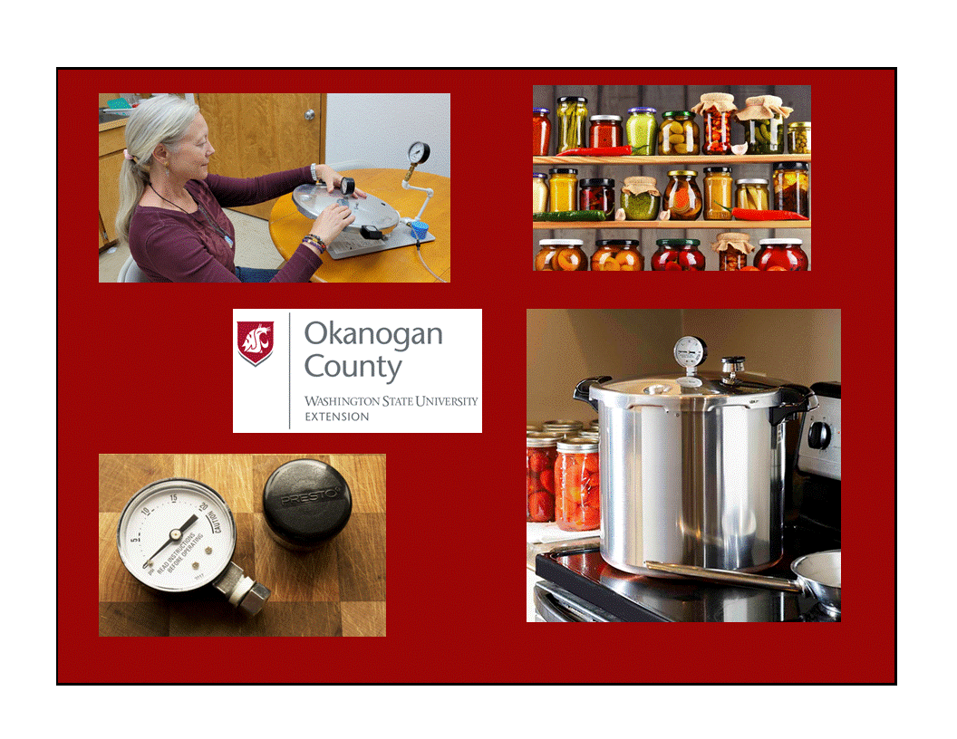pressure gauge testing