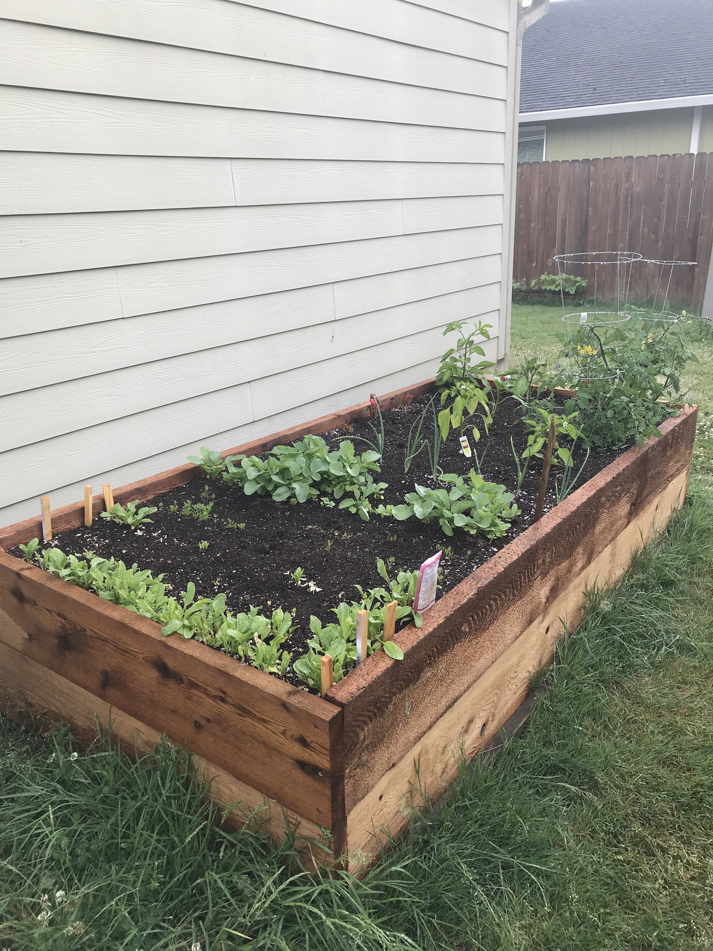 Raised bed