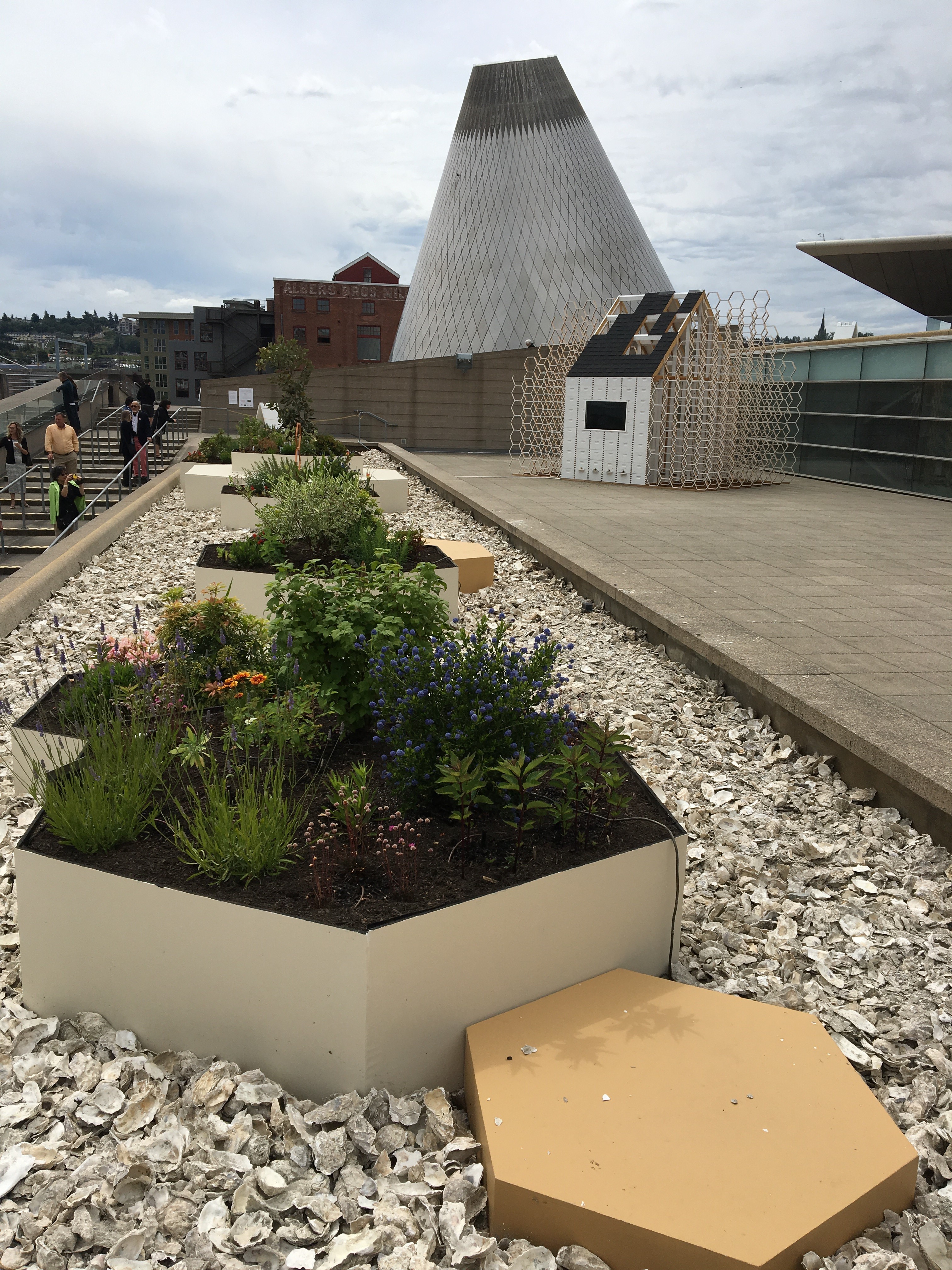 Portrait view of three hexagon shaped raised planters with a colorful variety of flowers and shrubs.