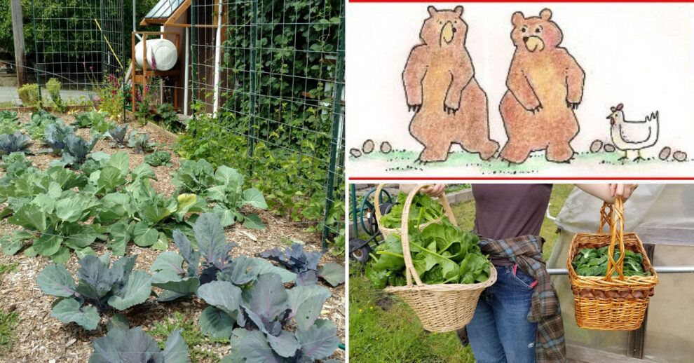 Two Bear Gardens Guided Tour Regional Small Farms Washington State