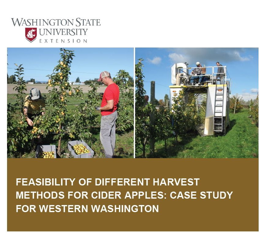 Cider Information WSU Cider Washington State University