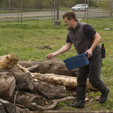 Brandon scattering food around the Bear Center's outdoor play area.