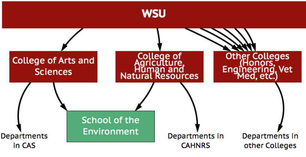 Our MultiCampus Structure School of the Environment Washington