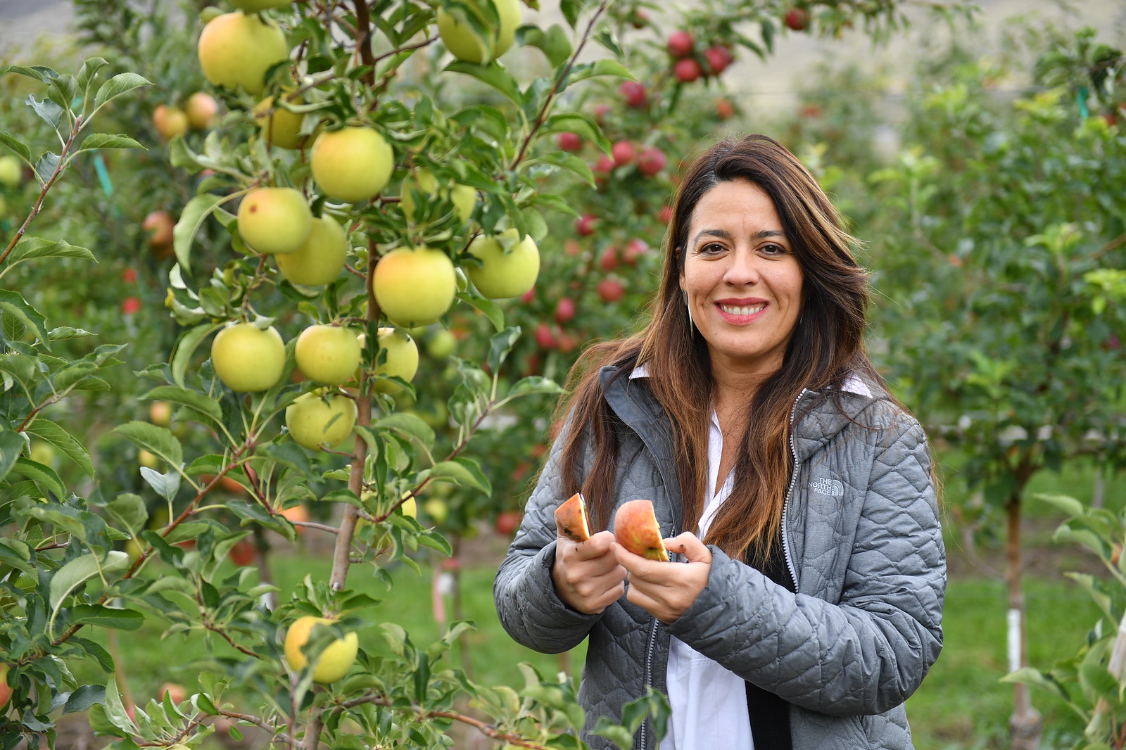 horticulture-department-of-horticulture-washington-state-university